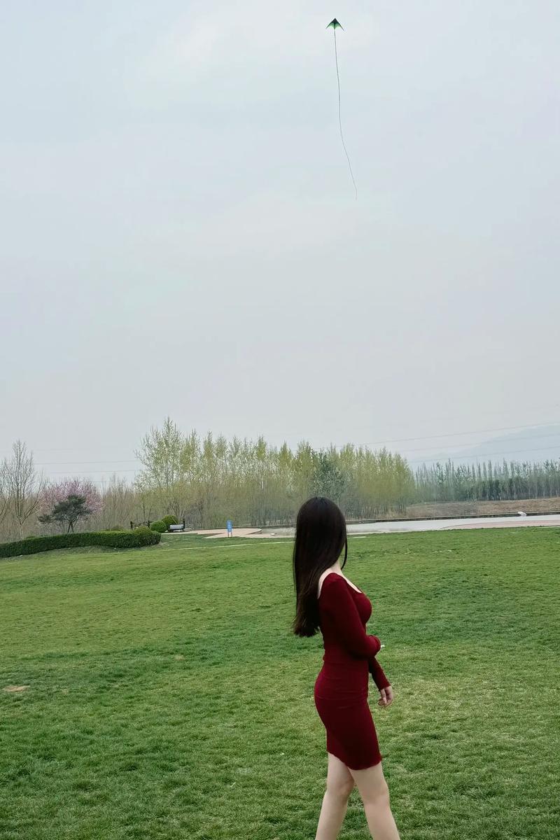 腹肌小奶狗导管素材网站